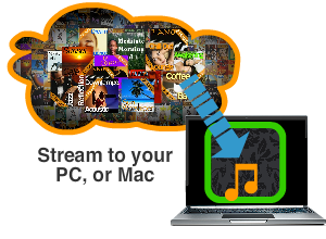 Music streaming service for business