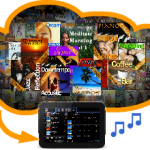 Full Music Catalogue Service: Download & Play